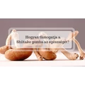 Shiitake gombával az immunrendszer egészségéért