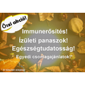 Őszi akció - kedvezményes csomagajánlatok!