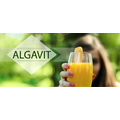 Korunk legegészségesebb szuperélelmiszere, az alga