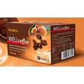 Ganoderma lucidum gomba, a császárok eledele
