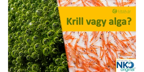 Krill olaj vs Alga