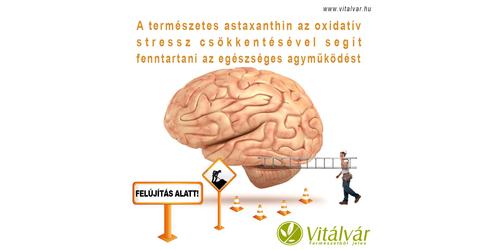 Tartsa frissen elméjét Astaxanthinnal!
