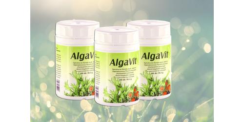 Három alga együttes ereje: AlgaVit – Táplál, tisztít és véd! (I. rész.)