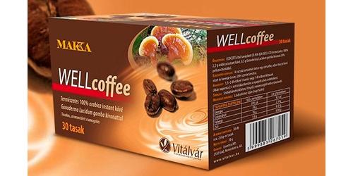 Ganoderma lucidum gomba, a császárok eledele