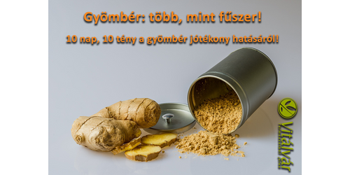 Gyömbér: több mint fűszer