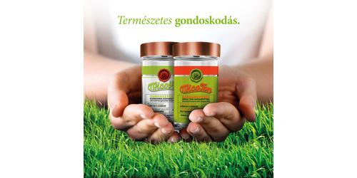 Miért gyógygomba?